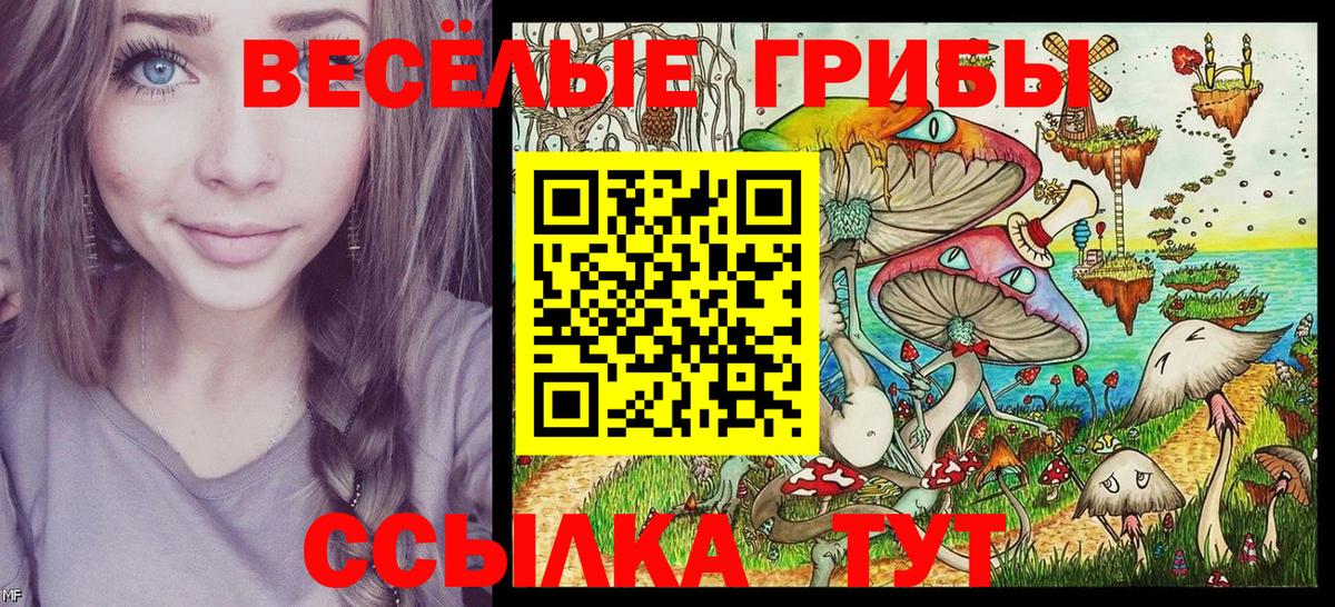 Псилоцибиновые грибы Cubensis Карталы